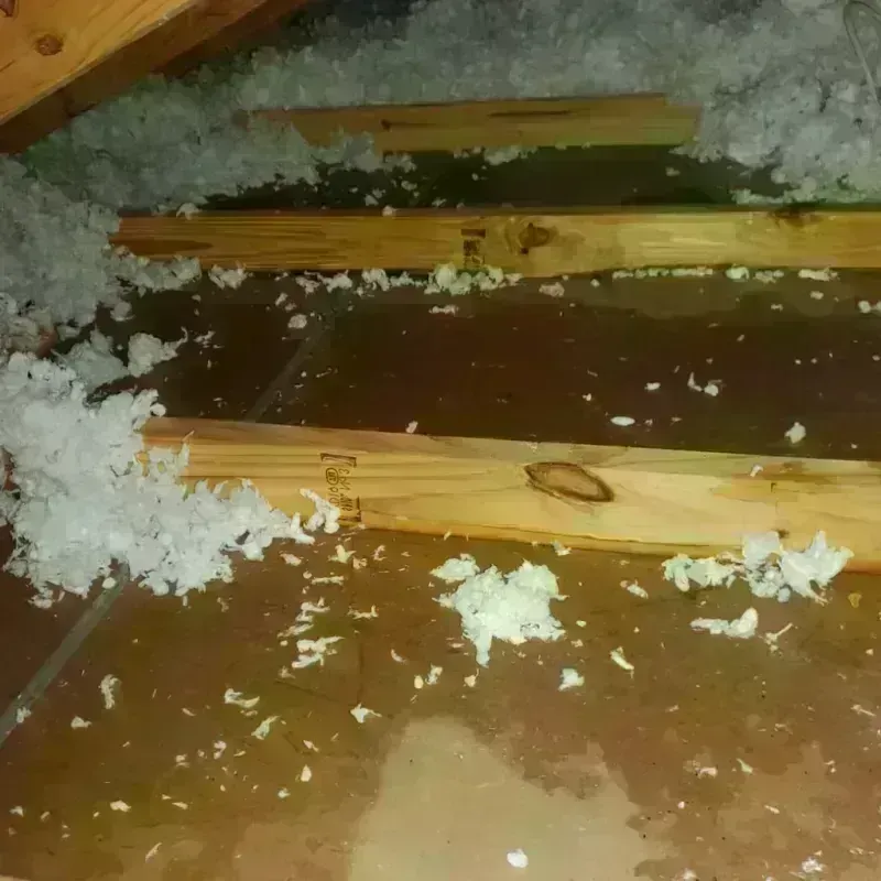 Attic Water Damage in Fort Irwin, CA